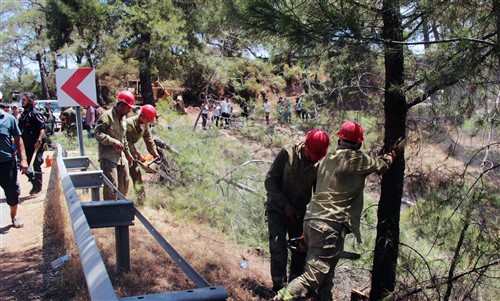 Orman Yangınlarına ‘Gardaş’ müdahalesi