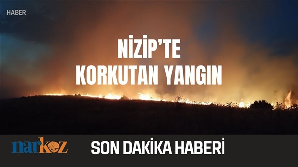 Son Dakika! Gaziantep'in Nizip İlçesinde ormanlık alanda yangın çıktı